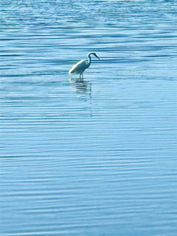 Image 23 of property listing at 75 OCEAN PALM VILLA S 75, Flagler Beach, FL 32136