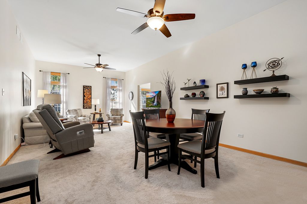 319 N Louisa Street, Shorewood, IL 60404 — photo 4
