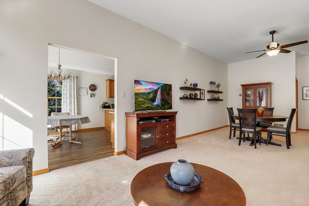 319 N Louisa Street, Shorewood, IL 60404 — photo 5