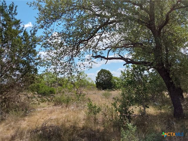 LOT 201 SUNDANCE VIEW Point, Spicewood, TX 78669