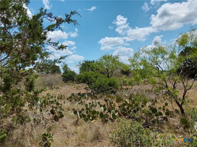 LOT 201 SUNDANCE VIEW Point, Spicewood, TX 78669