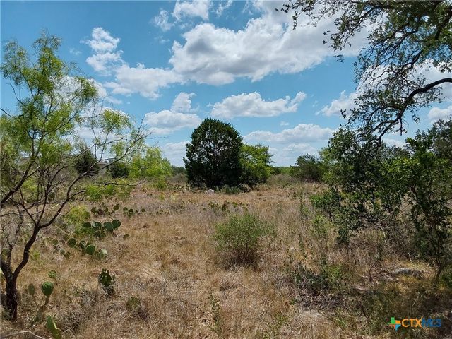 LOT 201 SUNDANCE VIEW Point, Spicewood, TX 78669