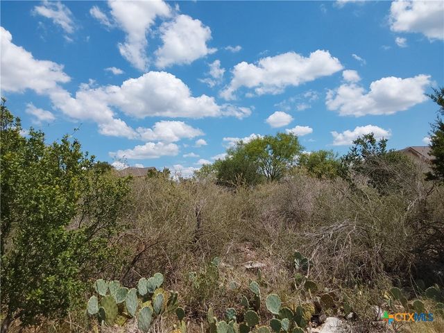 LOT 201 SUNDANCE VIEW Point, Spicewood, TX 78669