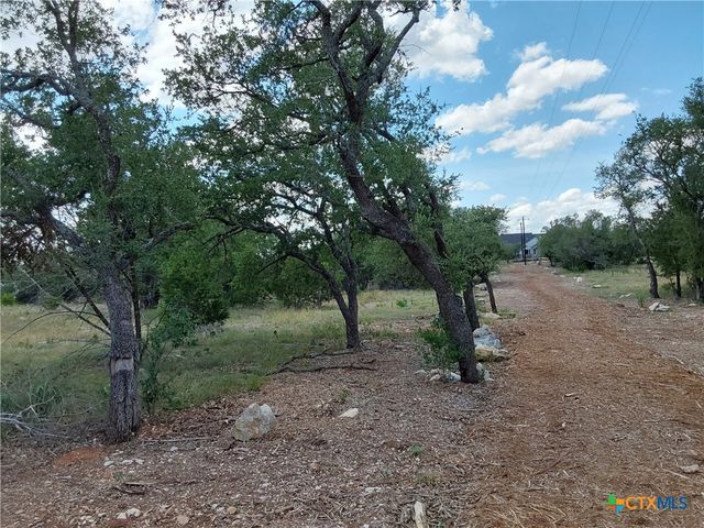 LOT 201 SUNDANCE VIEW Point, Spicewood, TX 78669