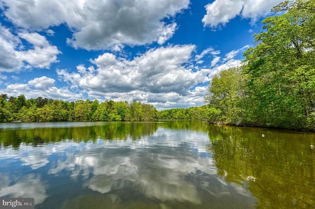 12029 SYCAMORE SHOALS DR, Bumpass, VA 23024