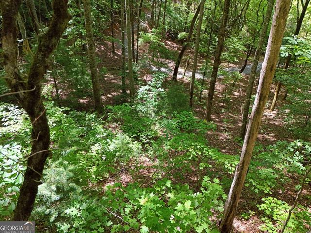 LOT 12 Hightower Ridge, Hiawassee, GA 30546