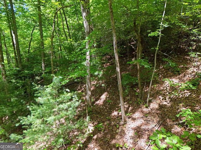 LOT 12 Hightower Ridge, Hiawassee, GA 30546