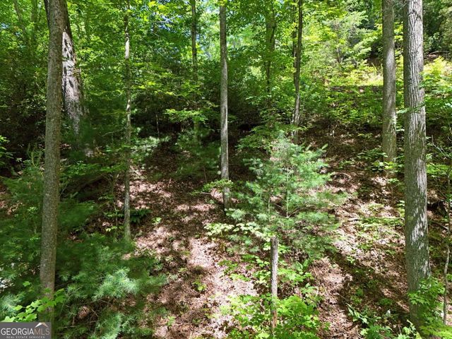 LOT 12 Hightower Ridge, Hiawassee, GA 30546