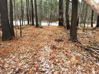 L4 State Route 146, Wright, NY 12053
