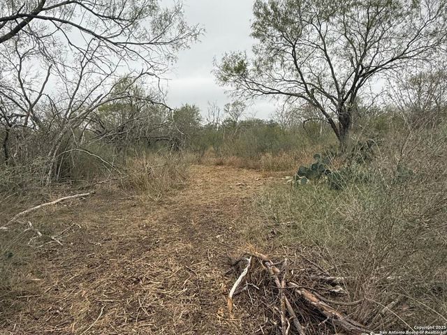 TBD Gidley, Atascosa, TX 78002