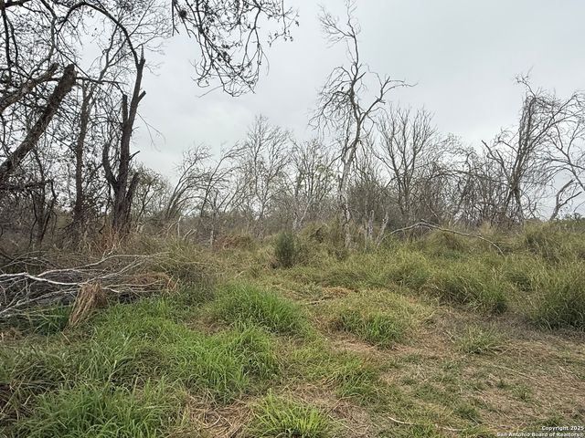 TBD Gidley, Atascosa, TX 78002