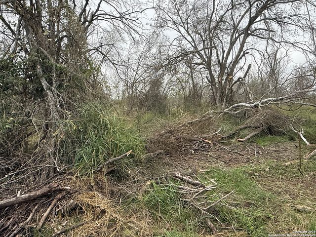 TBD Gidley, Atascosa, TX 78002