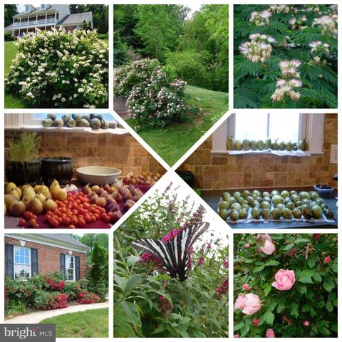 78 CANTERBURY DR, Stafford, VA 22554