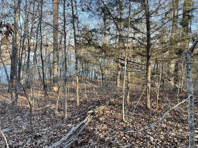 00 Chesapeake Drive, Cherokee Village, AR 72529