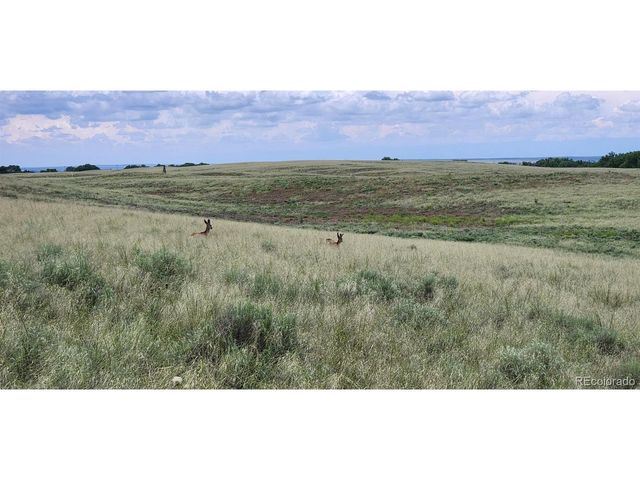 R8977762, Orchard, CO 80469