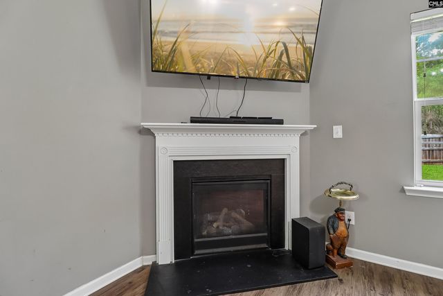 551 Eagles Rest Drive, Chapin, SC 29036
