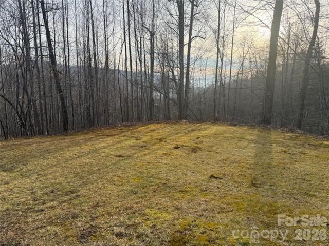 TBD Soapstone Creek Drive 14, Arden, NC 28704