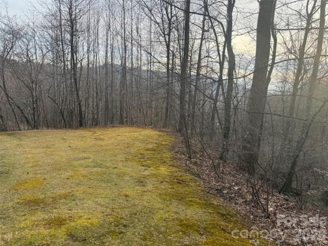 TBD Soapstone Creek Drive 14, Arden, NC 28704