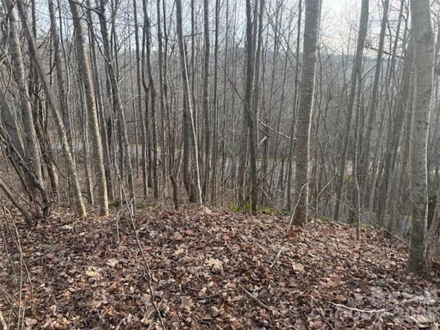 TBD Soapstone Creek Drive 14, Arden, NC 28704