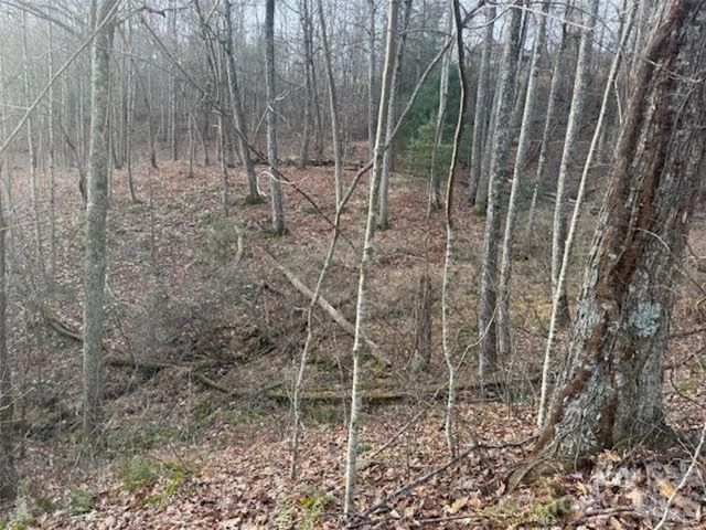 TBD Soapstone Creek Drive 14, Arden, NC 28704