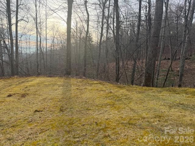 TBD Soapstone Creek Drive 14, Arden, NC 28704