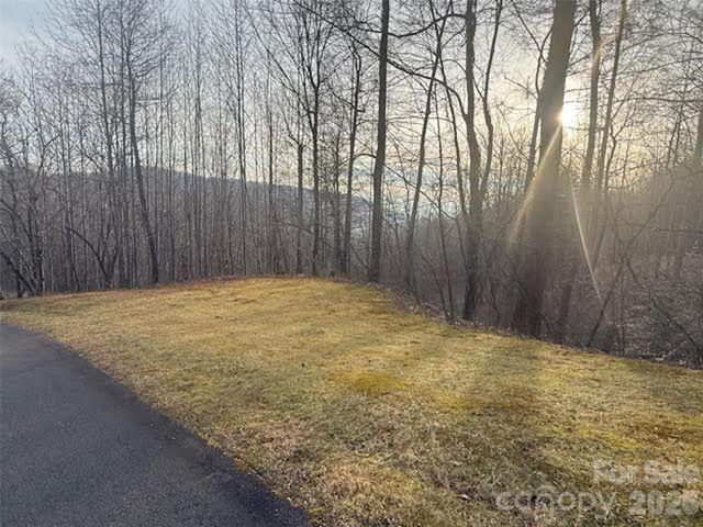 TBD Soapstone Creek Drive 14, Arden, NC 28704