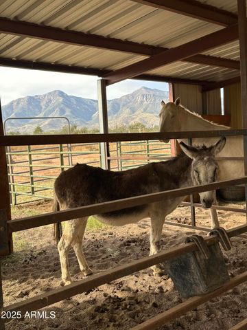 5751 S RED TAIL Lane, Hereford, AZ 85615