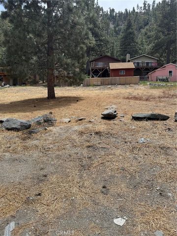 999 Buckthorn Road, Wrightwood, CA 92397