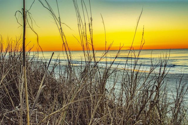 9760 Leyland Dr Unit 8, Myrtle Beach, SC 29572