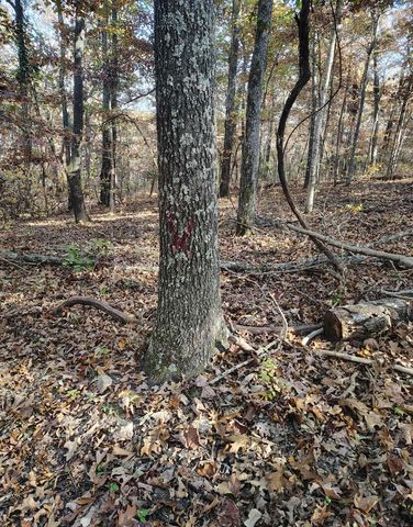 000 000 State Route Yy, Caulfield, MO 65626