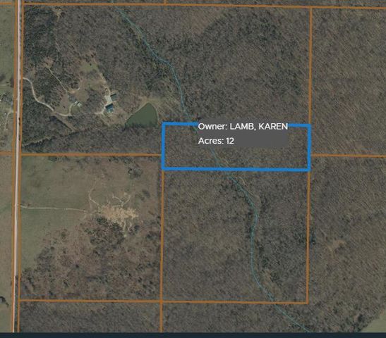 000 000 State Route Yy, Caulfield, MO 65626