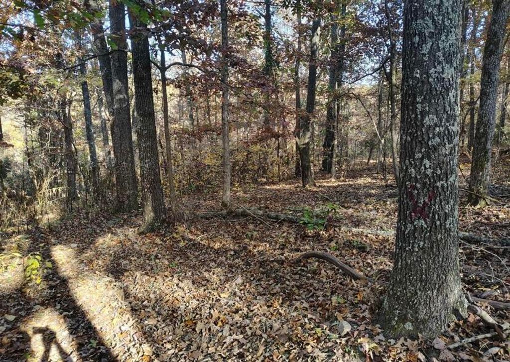 000 000 State Route Yy, Caulfield, MO 65626