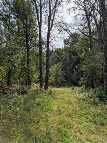 21628 Joplin Street NW, Elk River, MN 55330