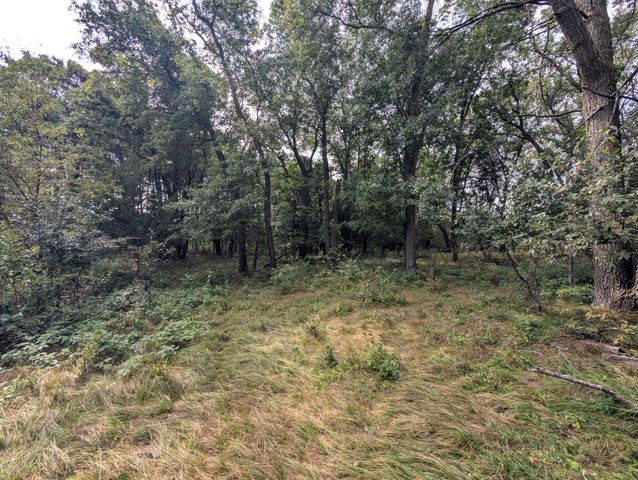 21628 Joplin Street NW, Elk River, MN 55330