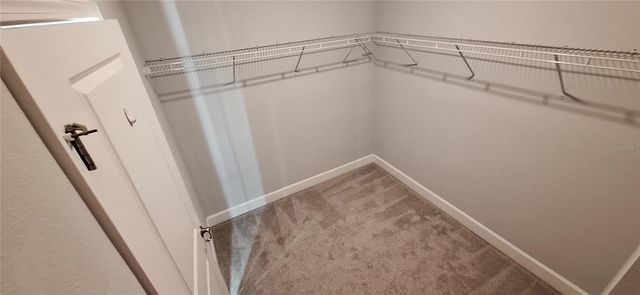 13703 LIPPMAN ALLEY, Orlando, FL 32827