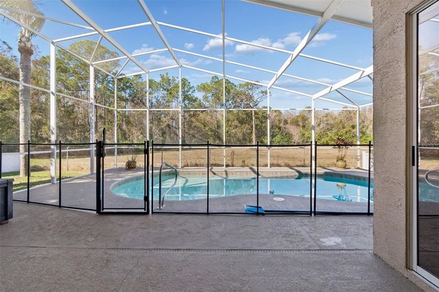 2328 BRINLEY DRIVE, Trinity, FL 34655