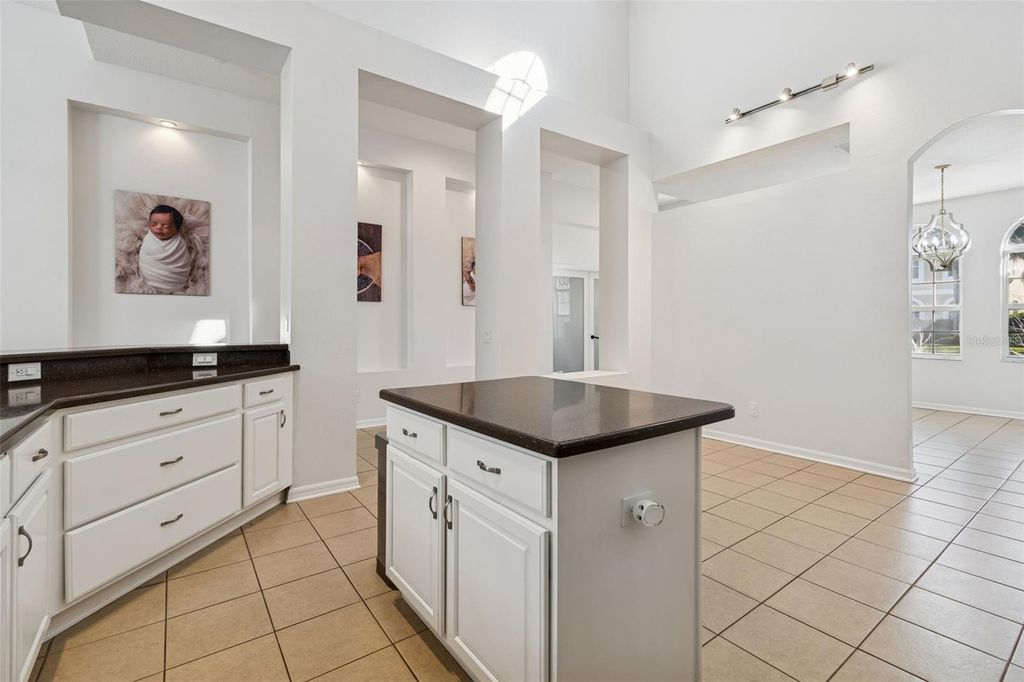 Image 19 of property listing at 2328 BRINLEY DRIVE, Trinity, FL 34655