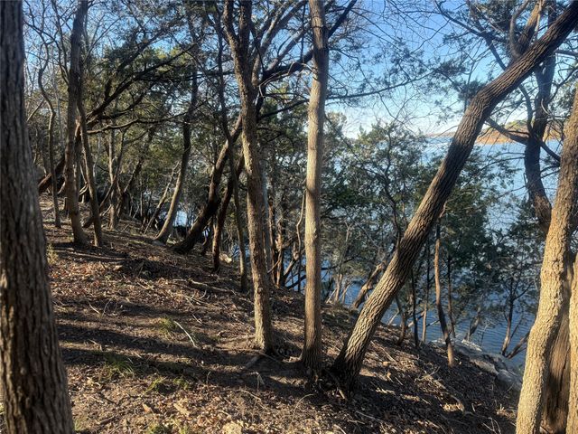 2508 River Ridge Court, Granbury, TX 76048