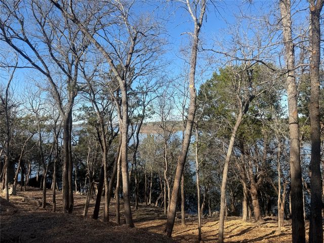 2508 River Ridge Court, Granbury, TX 76048