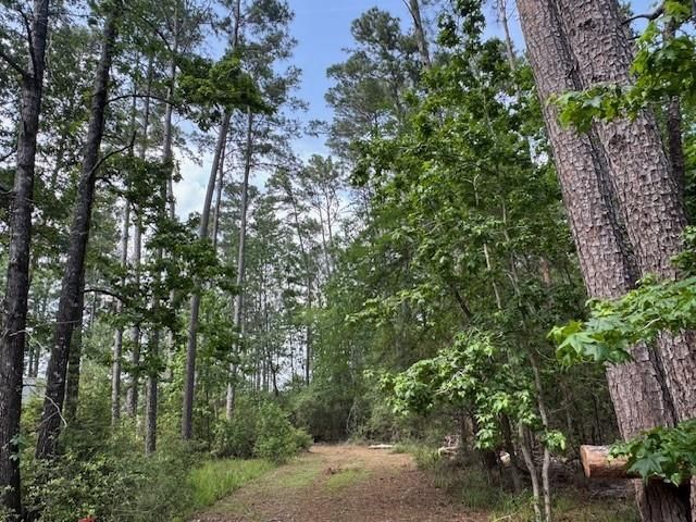 91 Meadow Lake Drive, Trinity, TX 75862