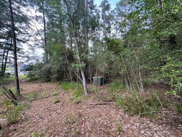 91 Meadow Lake Drive, Trinity, TX 75862