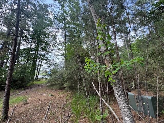 91 Meadow Lake Drive, Trinity, TX 75862