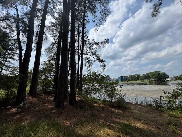 91 Meadow Lake Drive, Trinity, TX 75862