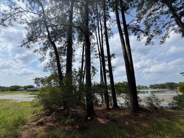 91 Meadow Lake Drive, Trinity, TX 75862