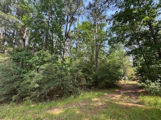 91 Meadow Lake Drive, Trinity, TX 75862