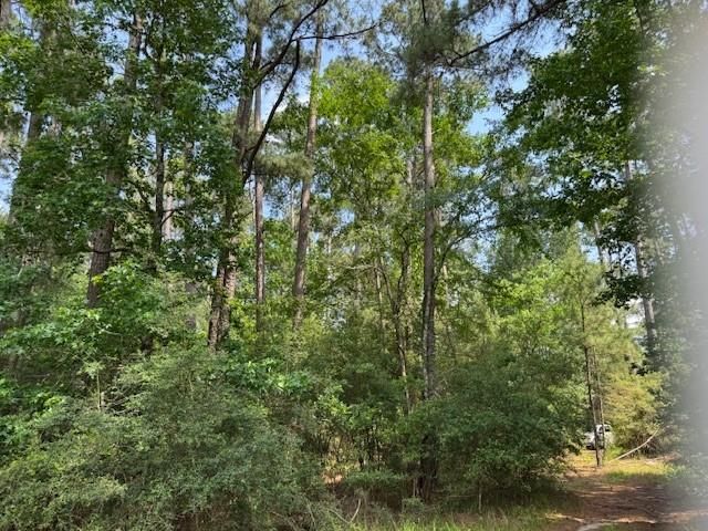 91 Meadow Lake Drive, Trinity, TX 75862