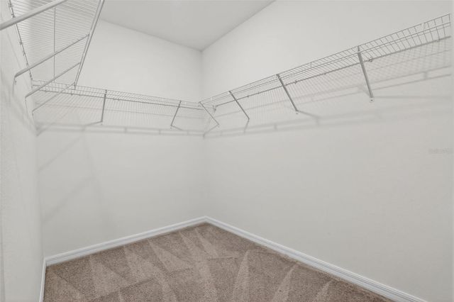 12621 MAPLE BONSAI DRIVE, Riverview, FL 33579