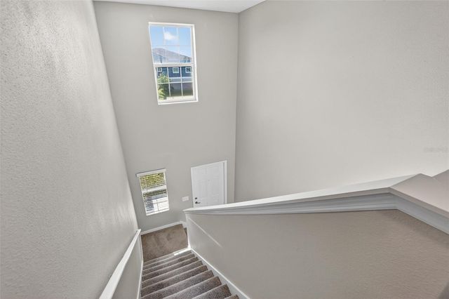 12621 MAPLE BONSAI DRIVE, Riverview, FL 33579