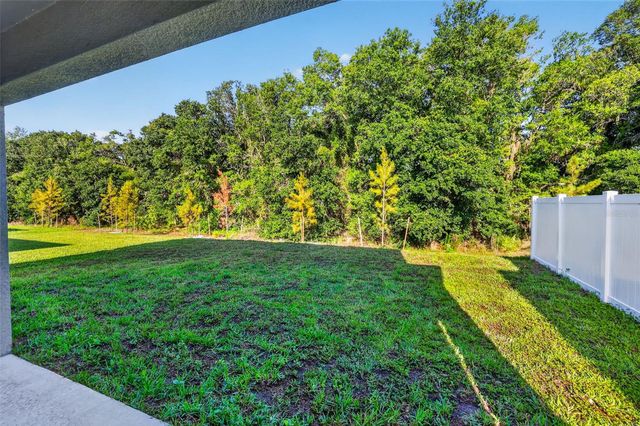 12621 MAPLE BONSAI DRIVE, Riverview, FL 33579