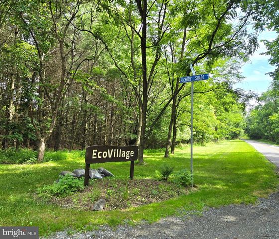 40989 REDWING SONG LN, Lovettsville, VA 20180